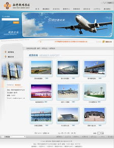 西部機(jī)場(chǎng)集團(tuán) 咨詢 旅游 生活 醫(yī)療 企業(yè)宣傳 案例展示 硅峰網(wǎng)絡(luò) 網(wǎng)站設(shè)計(jì) 軟件開(kāi)發(fā) 微信建設(shè),西安最專(zhuān)業(yè)的企業(yè)信息化建設(shè)網(wǎng)絡(luò)公司